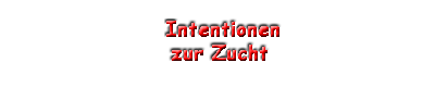 Unsere Gedanken zur Zucht und unser Zuchtziel