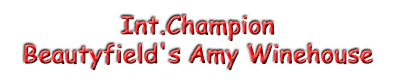 CH Beautyfield`s Amy Winehouse - VDH / German Club Champion / Luxembourg Champion / German Junior Champion