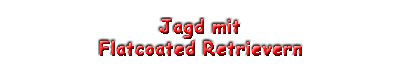 Die jagdliche Arbeit mit Flatcoated Retrievern