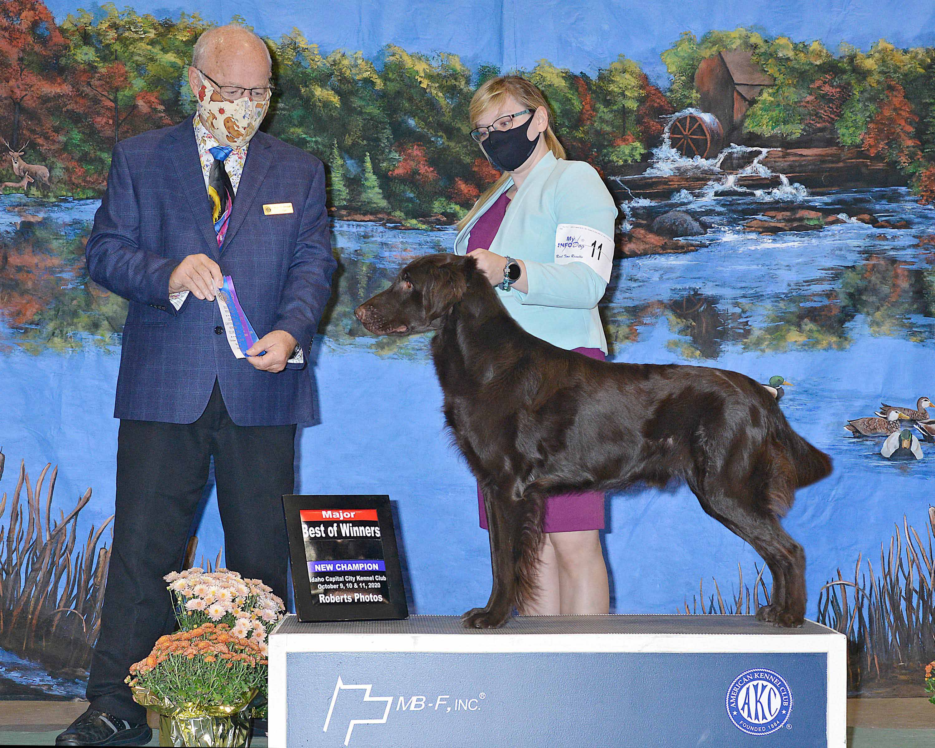 AKC CH Beautyfield's Im Legend - "Milo"