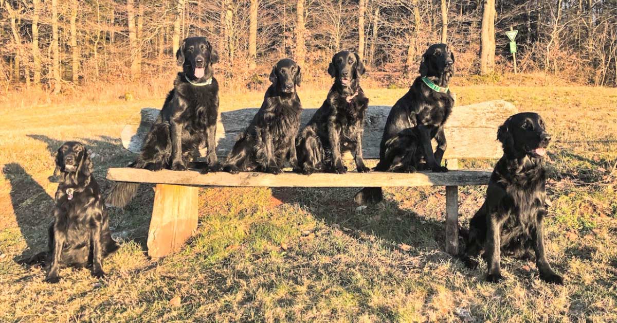 Die Beautyfield's Gang im Frühjahr 2020