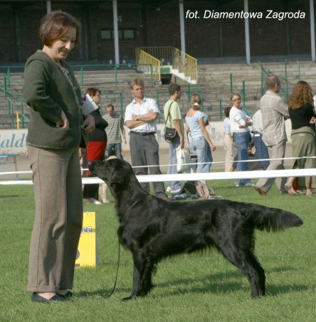 Conny und CH Camwood Randy the Copper Rebell bei einer Ausstellung 2003 bei Berlin